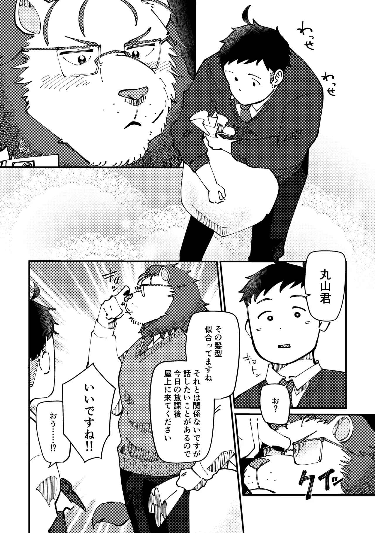 Image #11