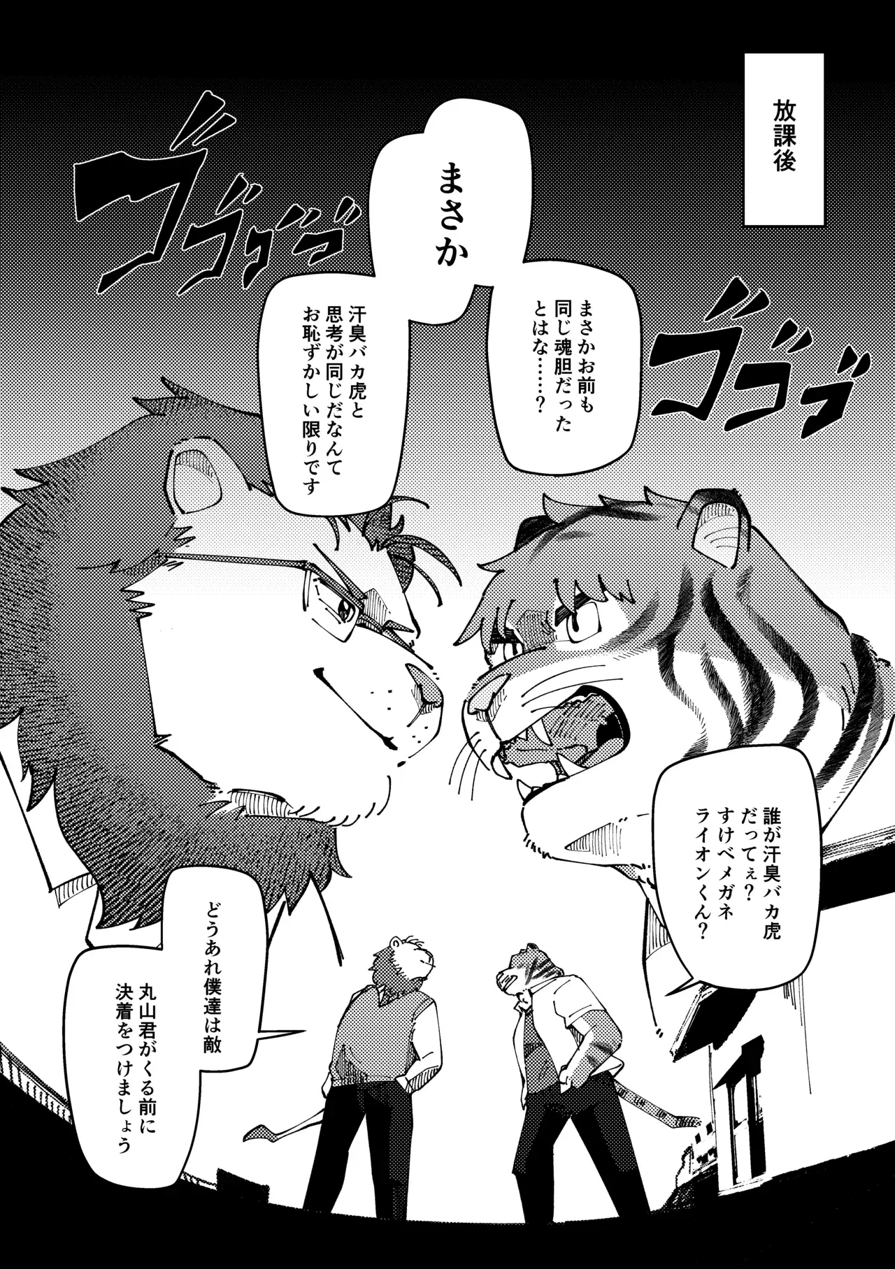 Image #13