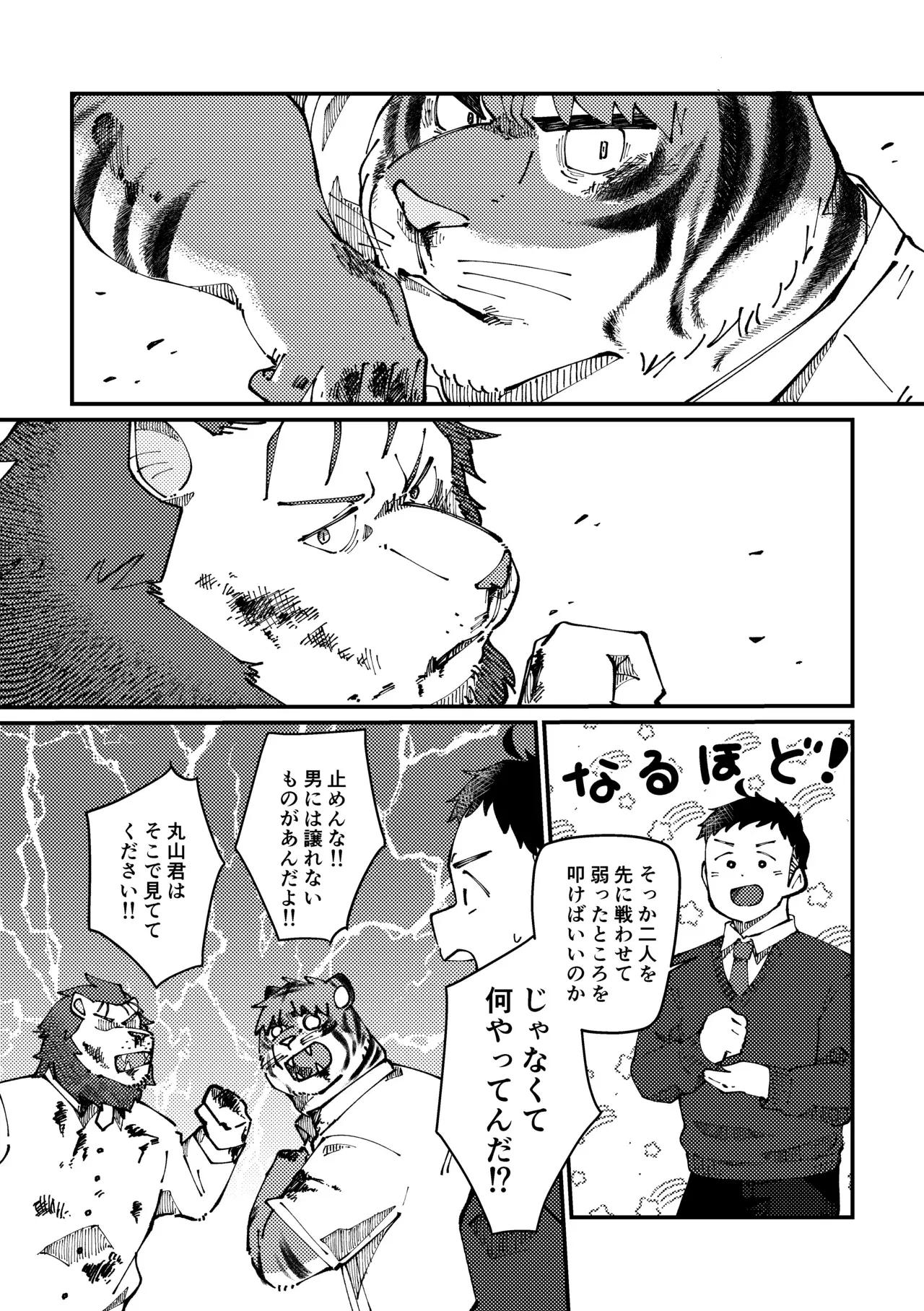 Image #15