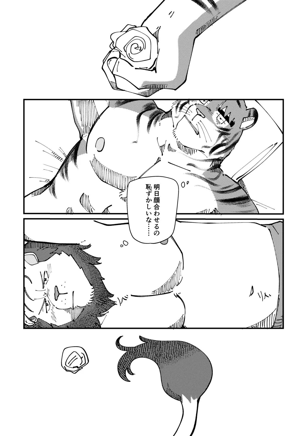 Image #25