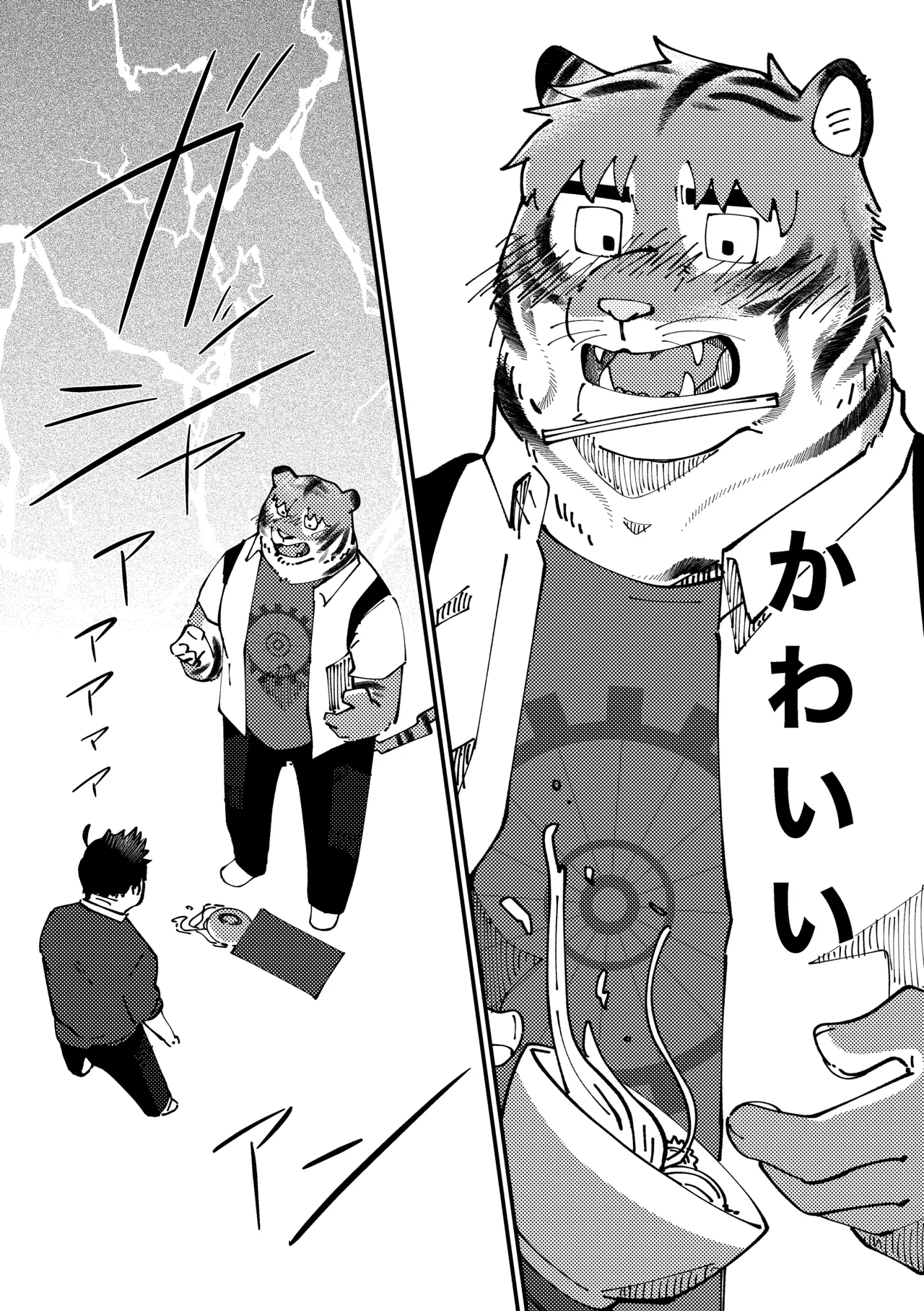Image #5