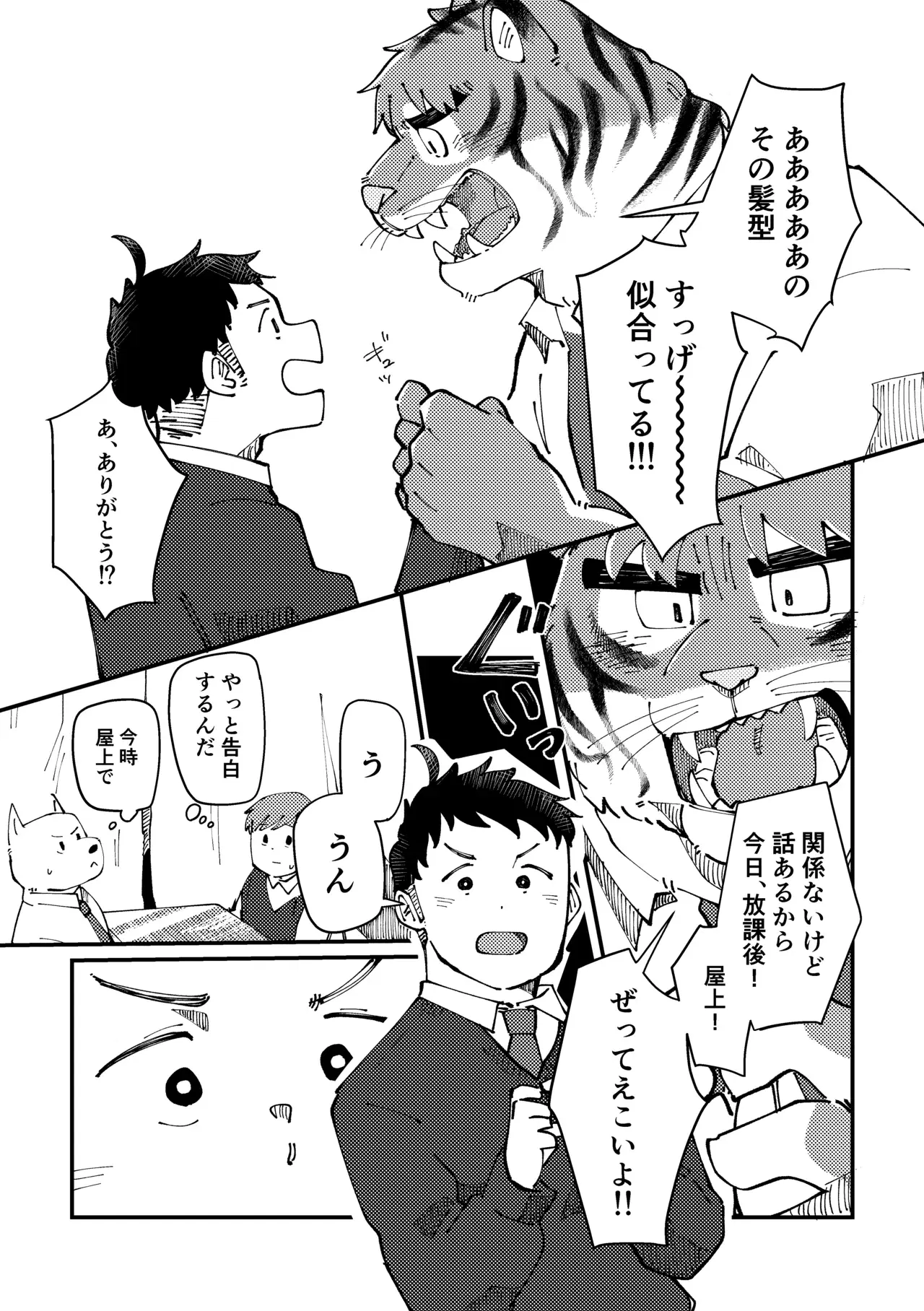 Image #7