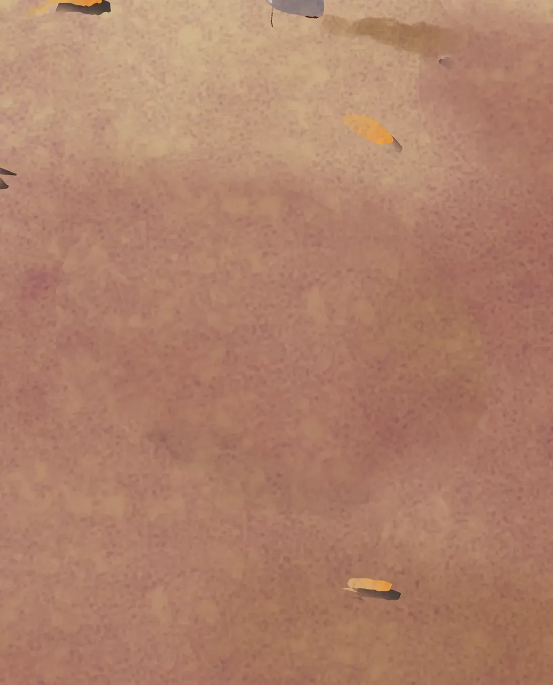 Image #17