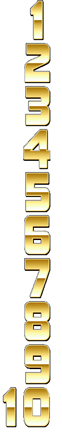 Image #506