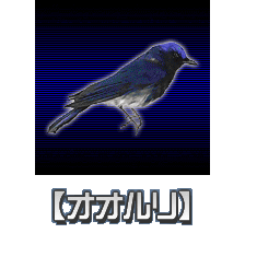 Image #703