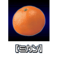 Image #749