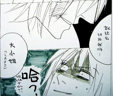 Image #15