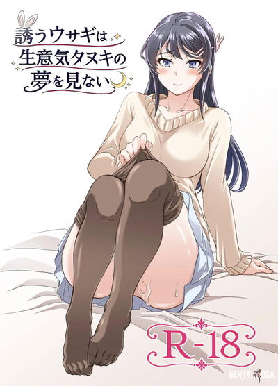 誘うウサギは生意気タヌキの夢を見ない - Hentai Gallery