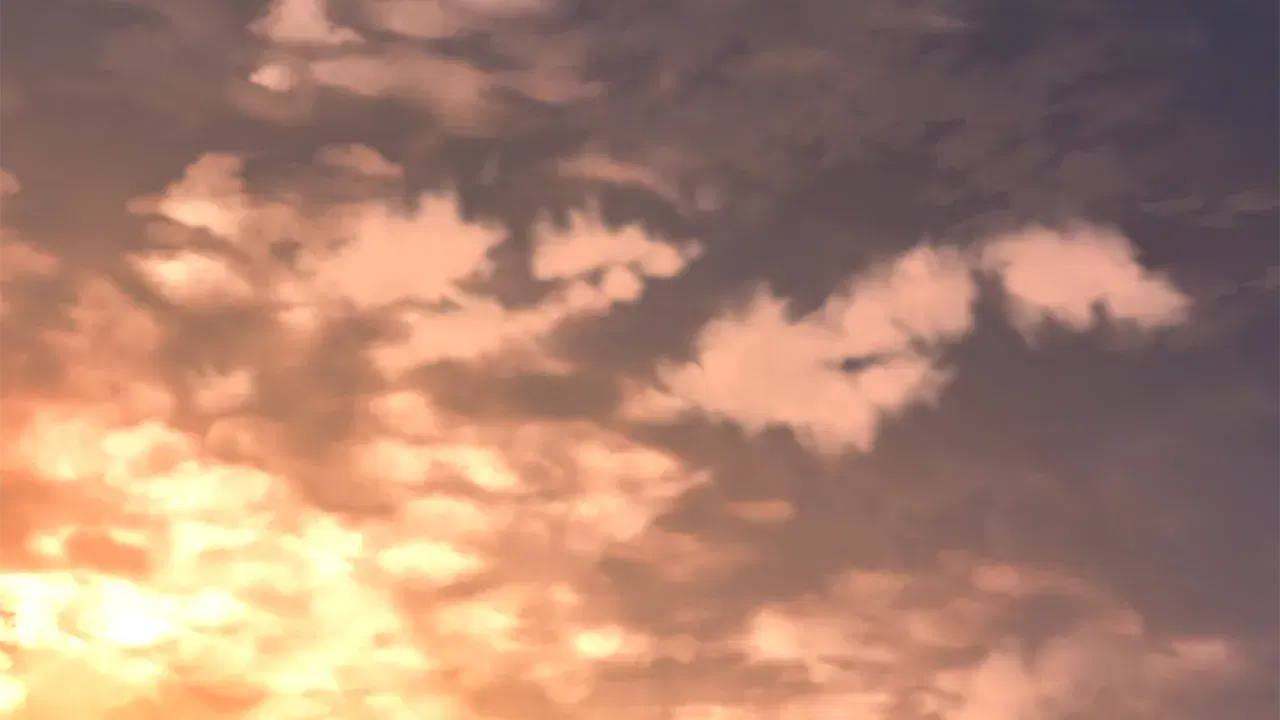 Image #180