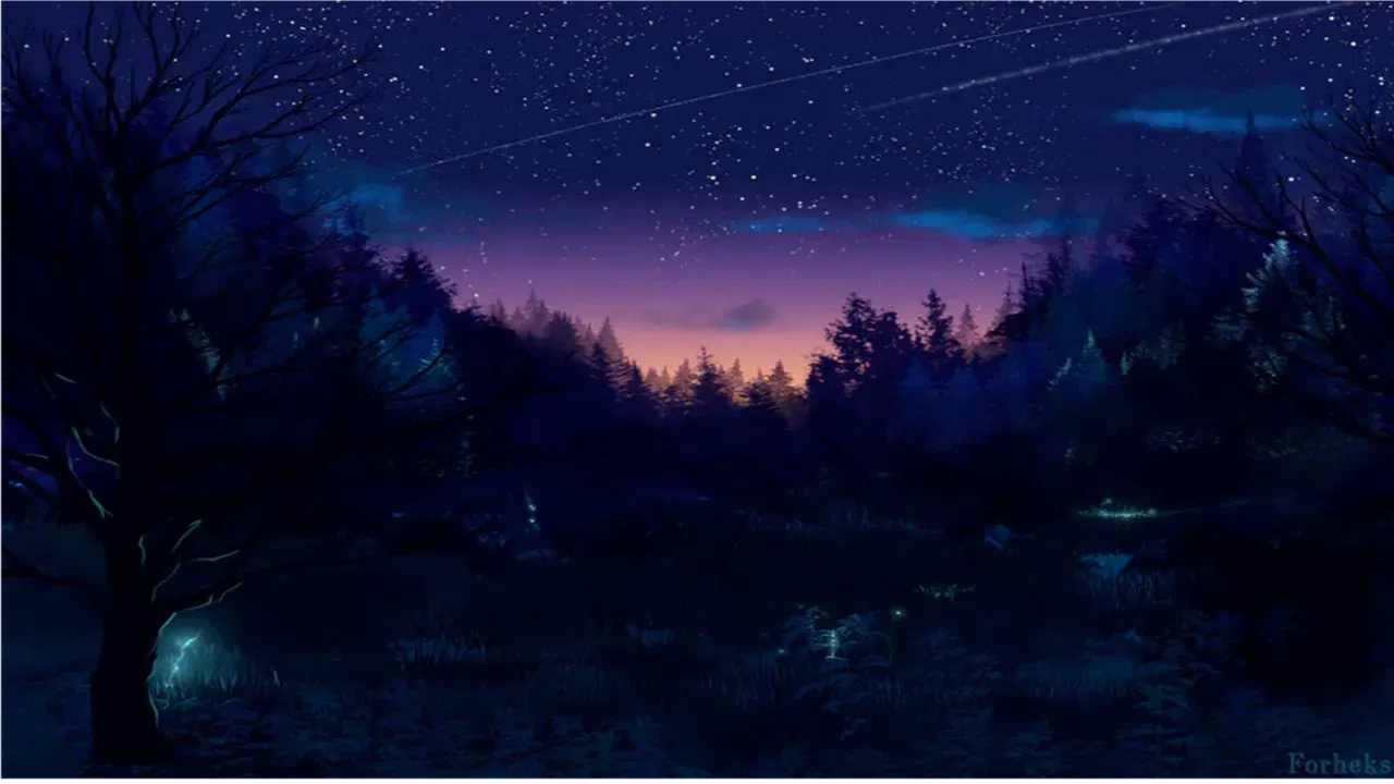 Image #508
