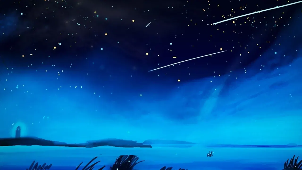 Image #641