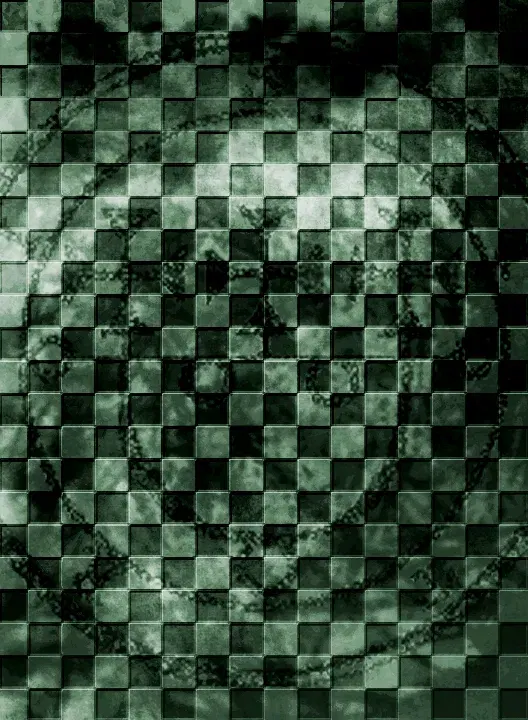 Image #802