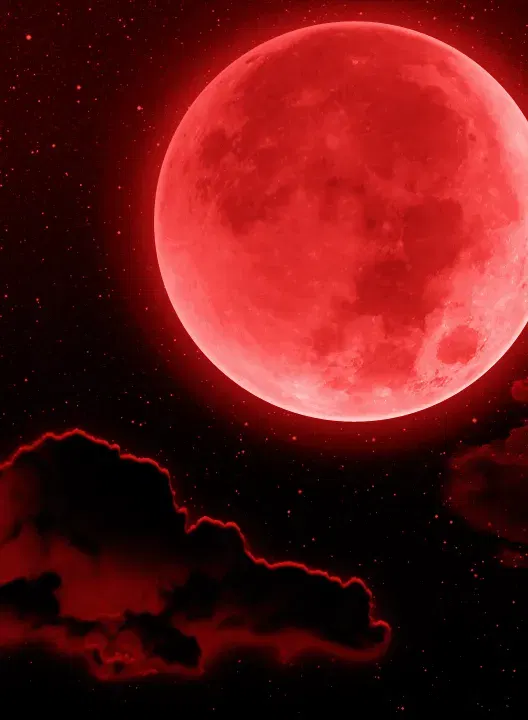 Image #815