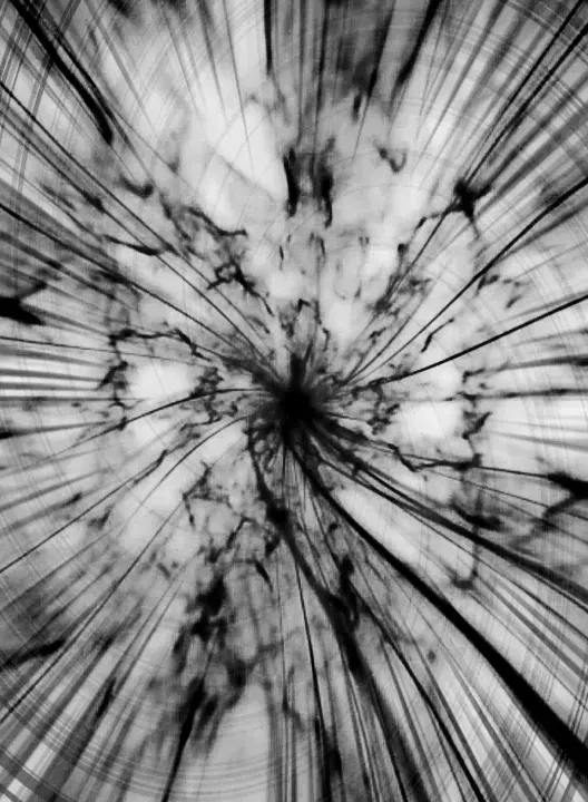 Image #819