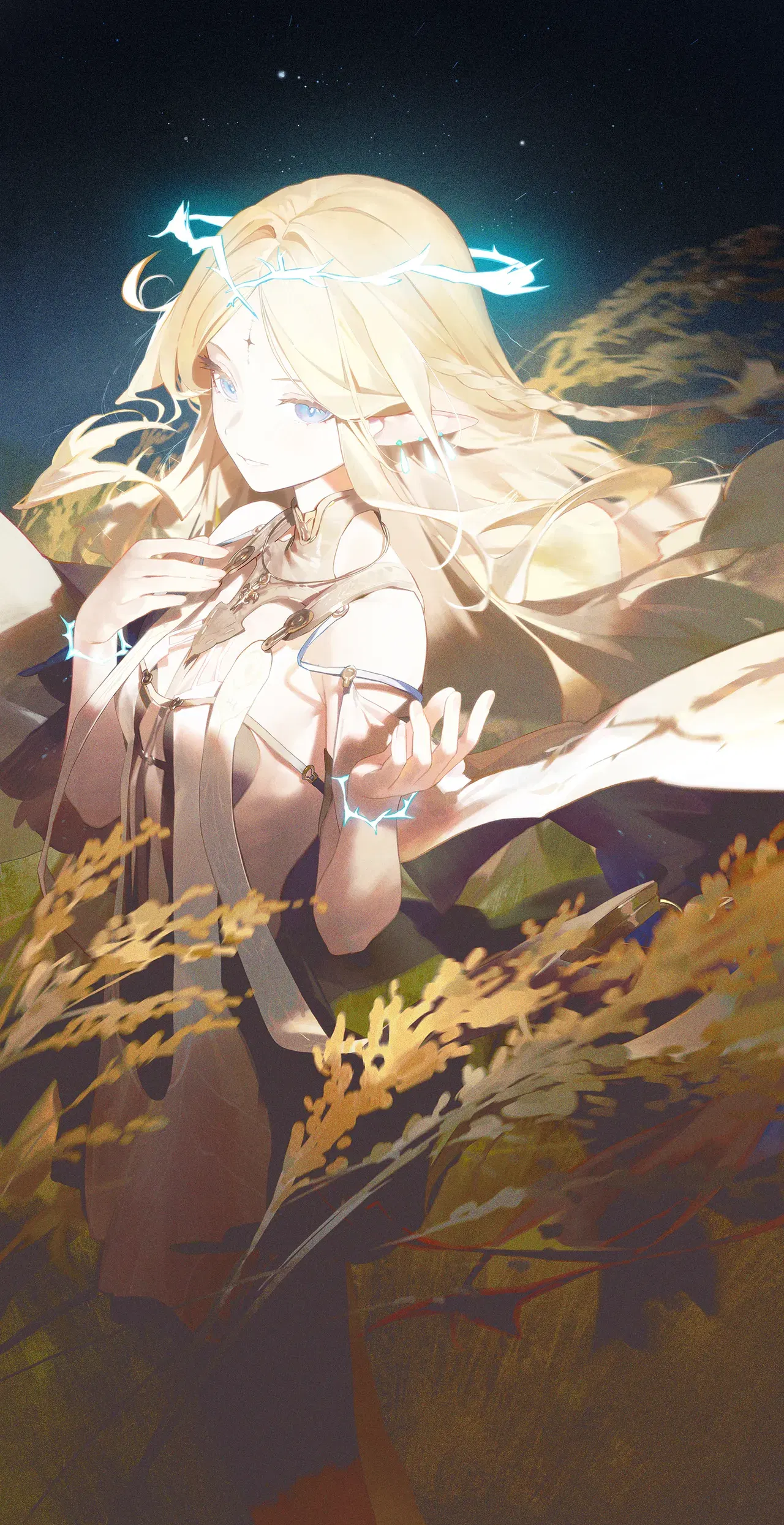 Image #12