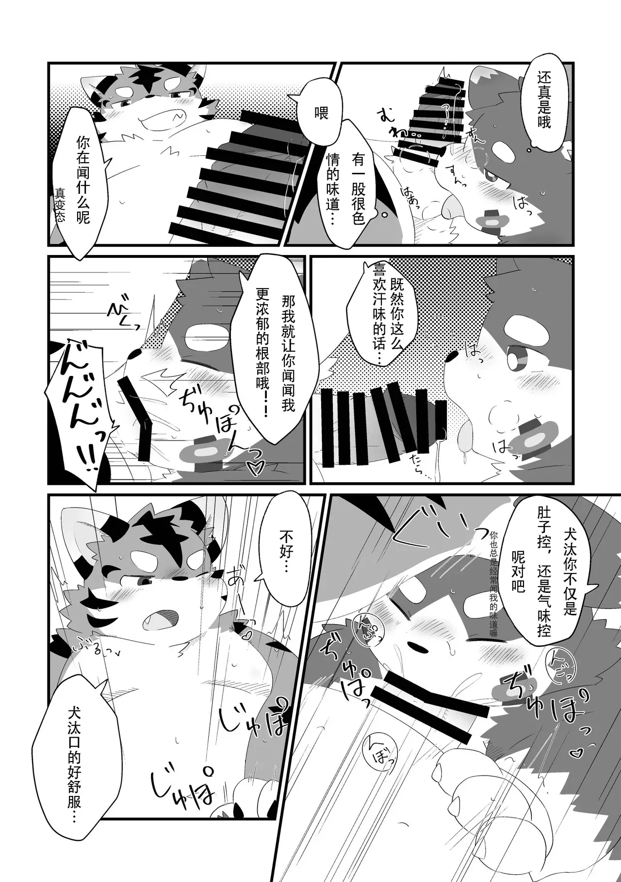 Image #12