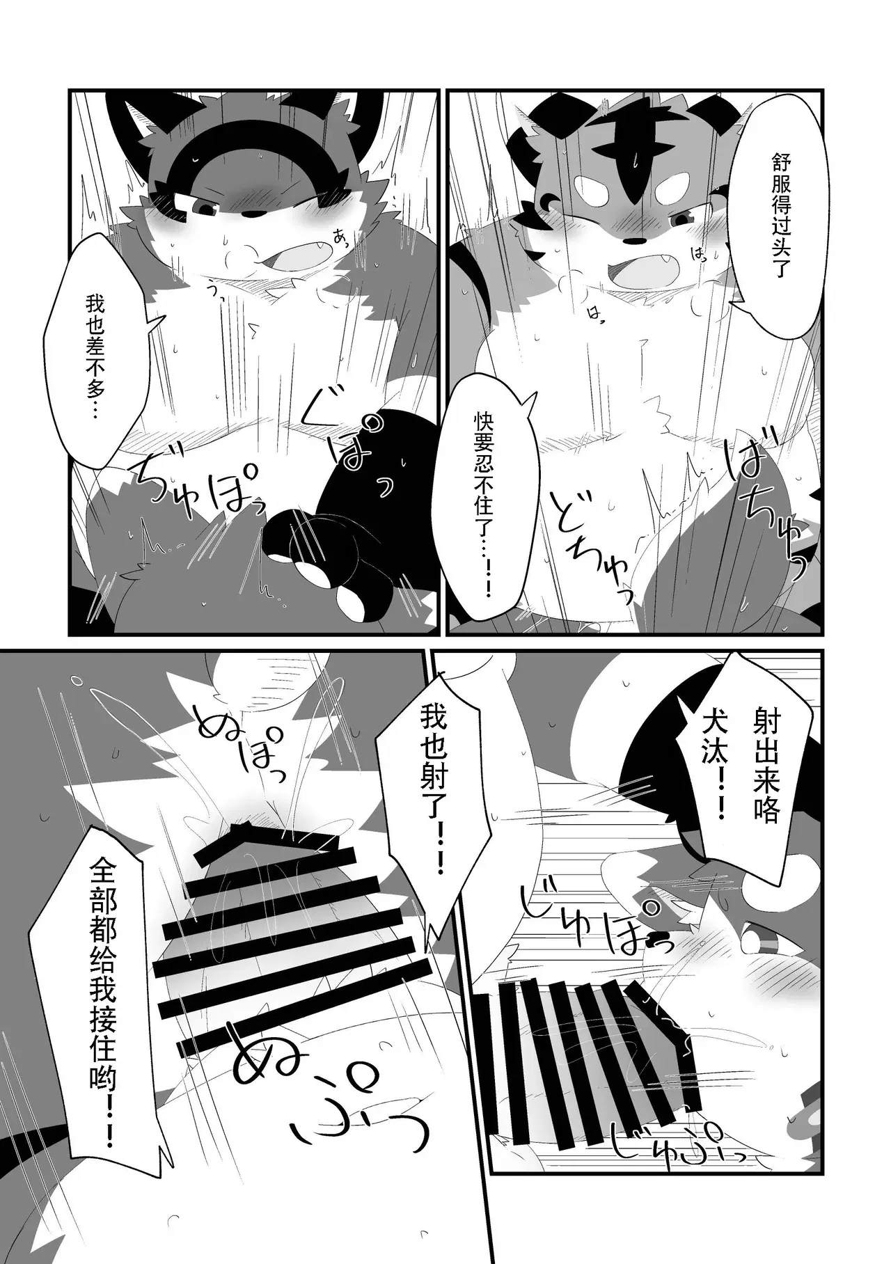 Image #21