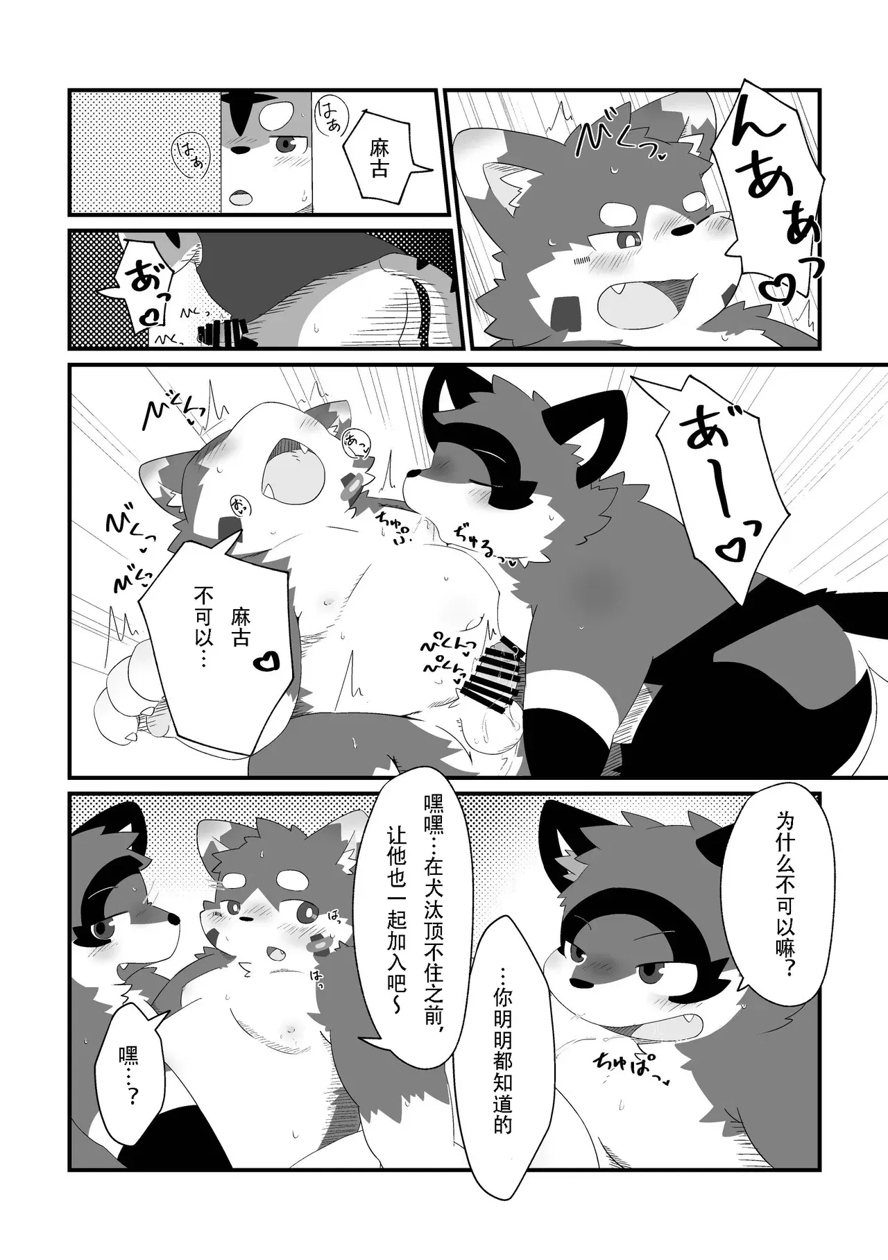 Image #8