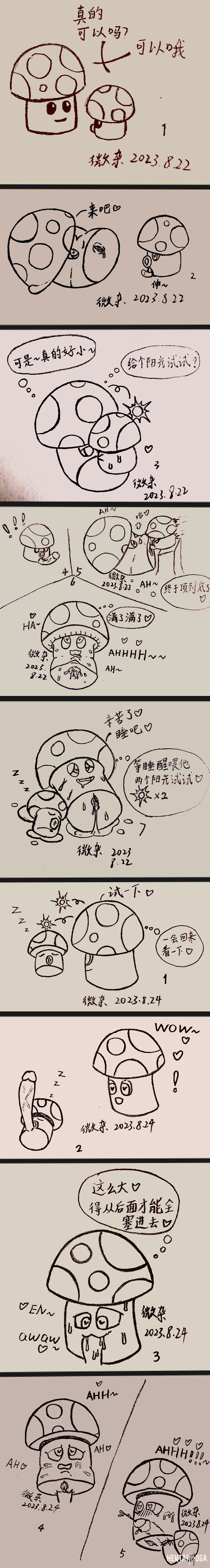 Image #14