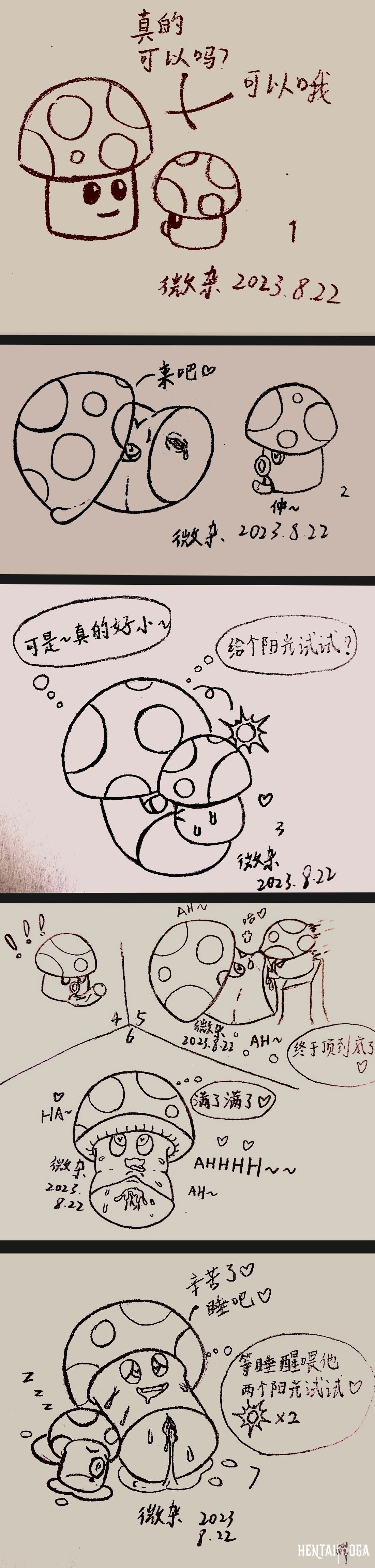 Image #19