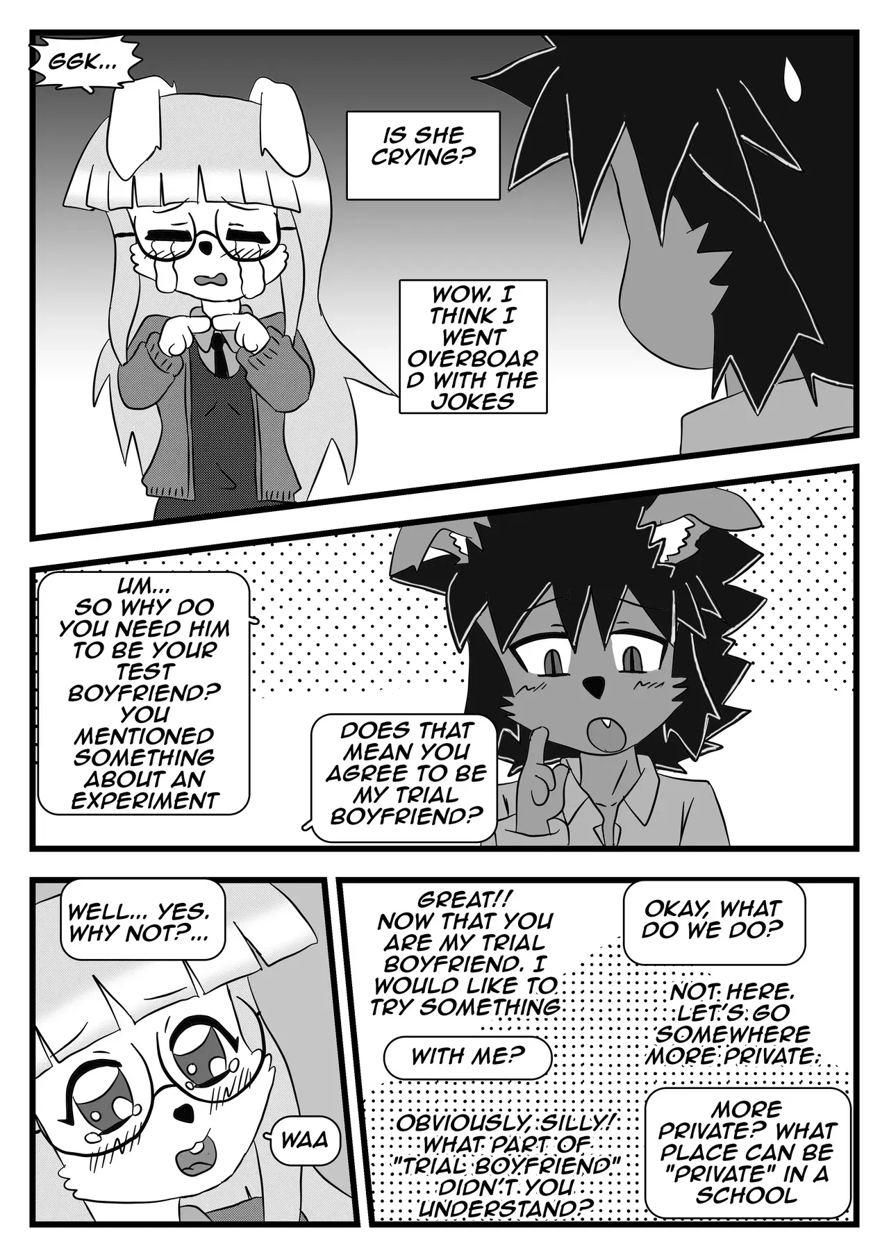Image #13