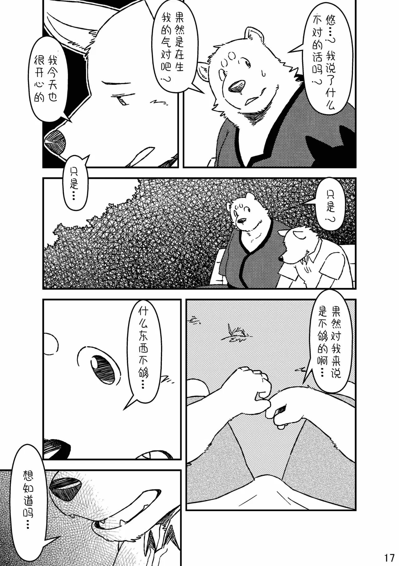 Image #17