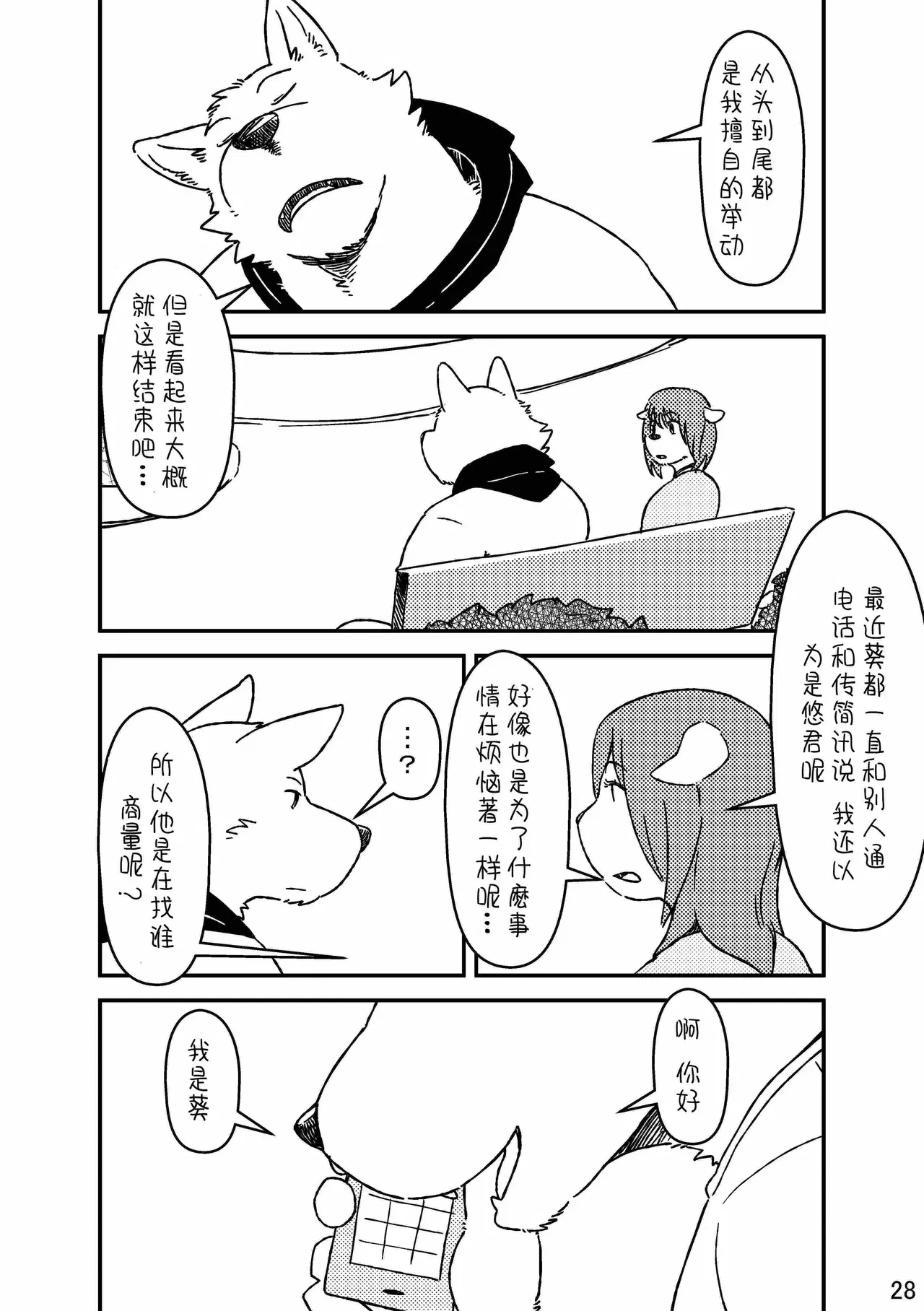 Image #27
