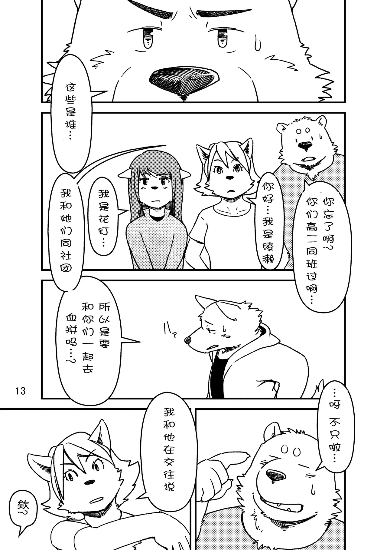 Image #13