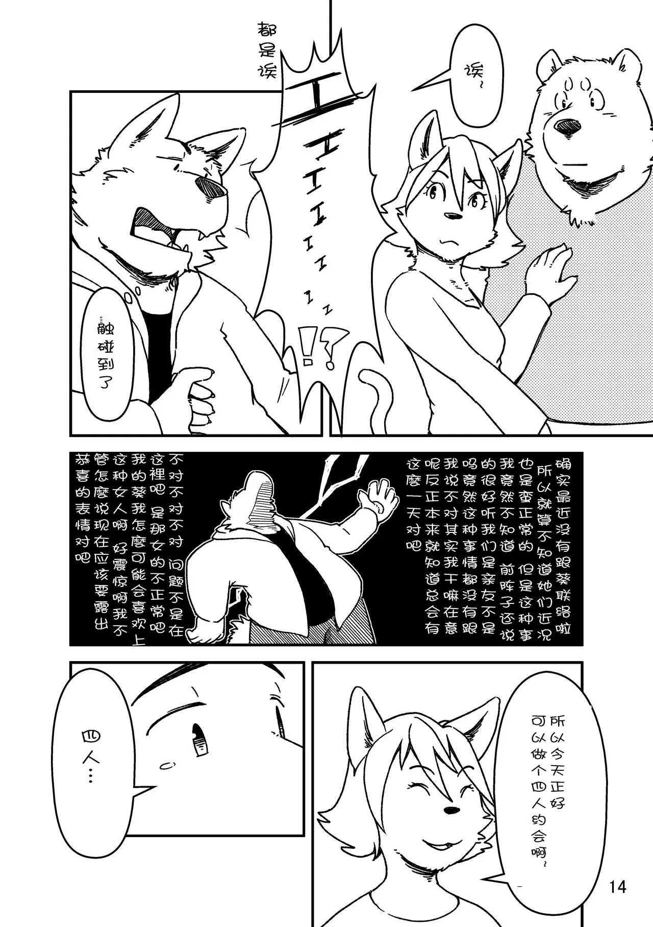 Image #14