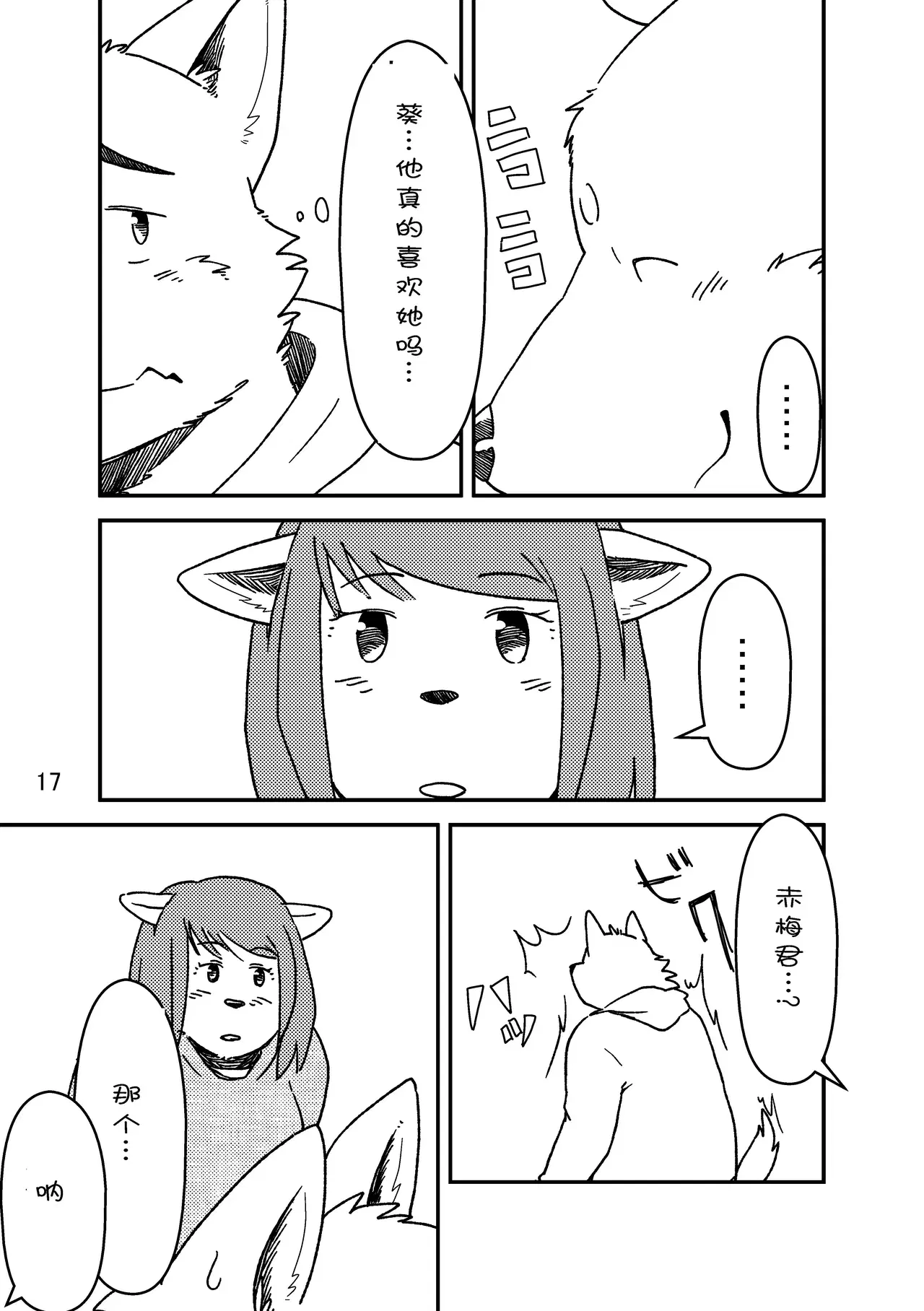 Image #17