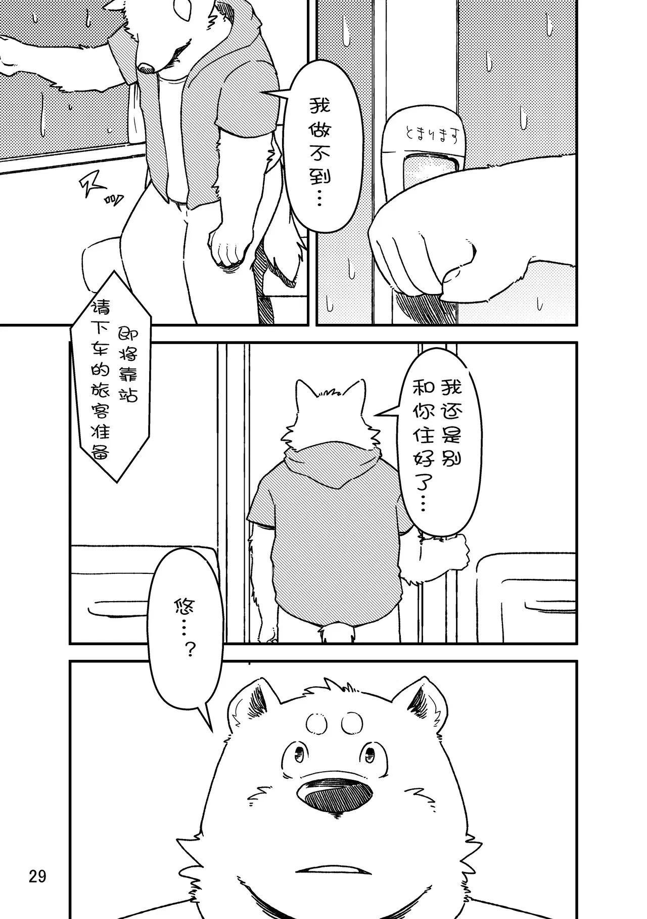 Image #28