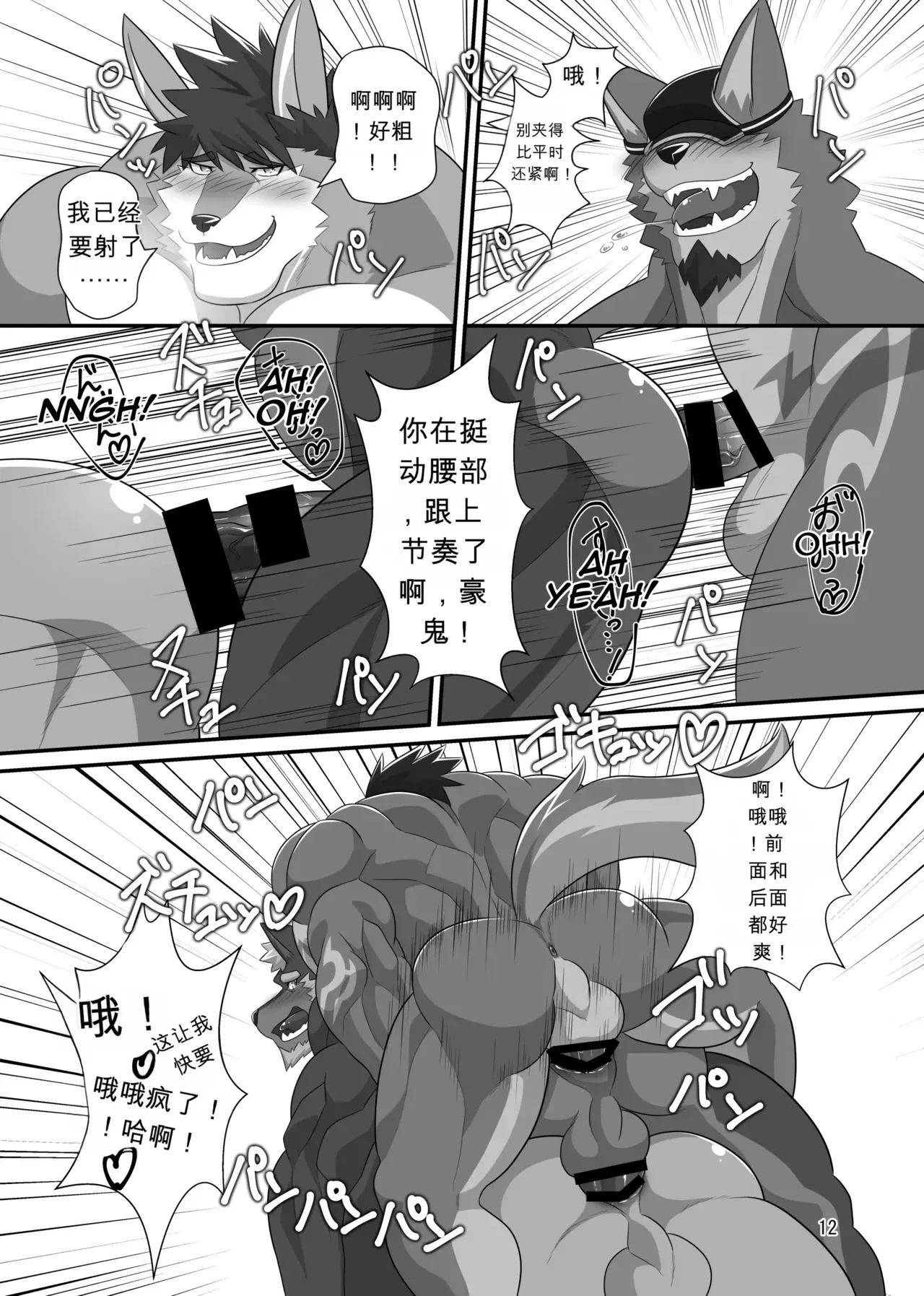 Image #11