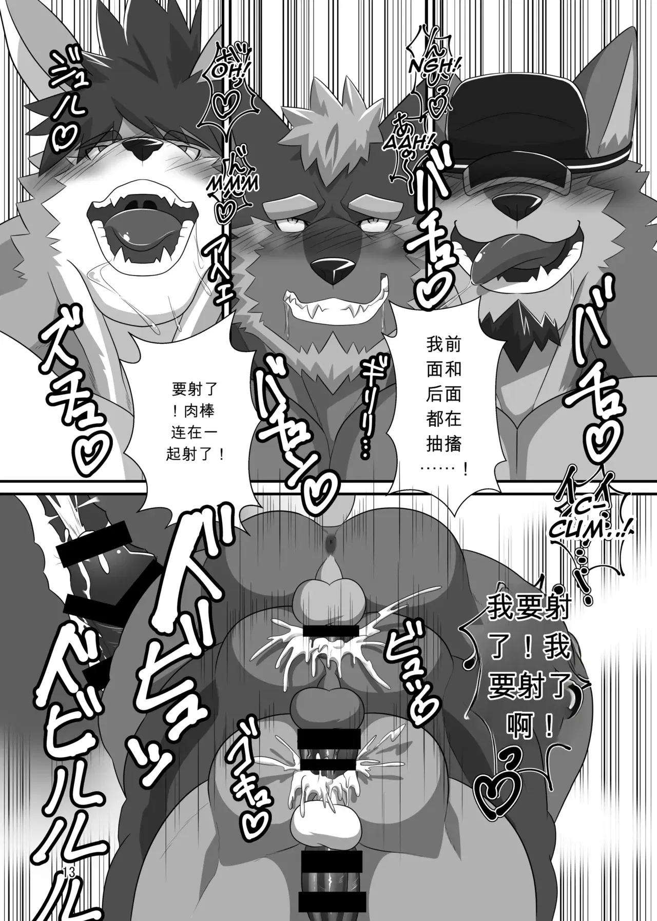 Image #12