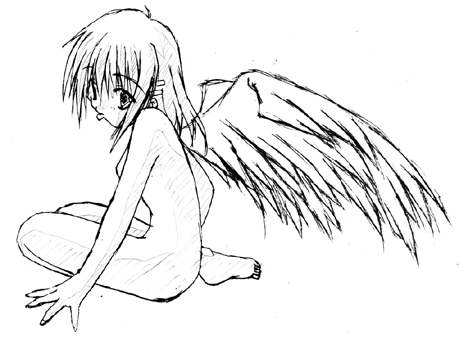Image #11