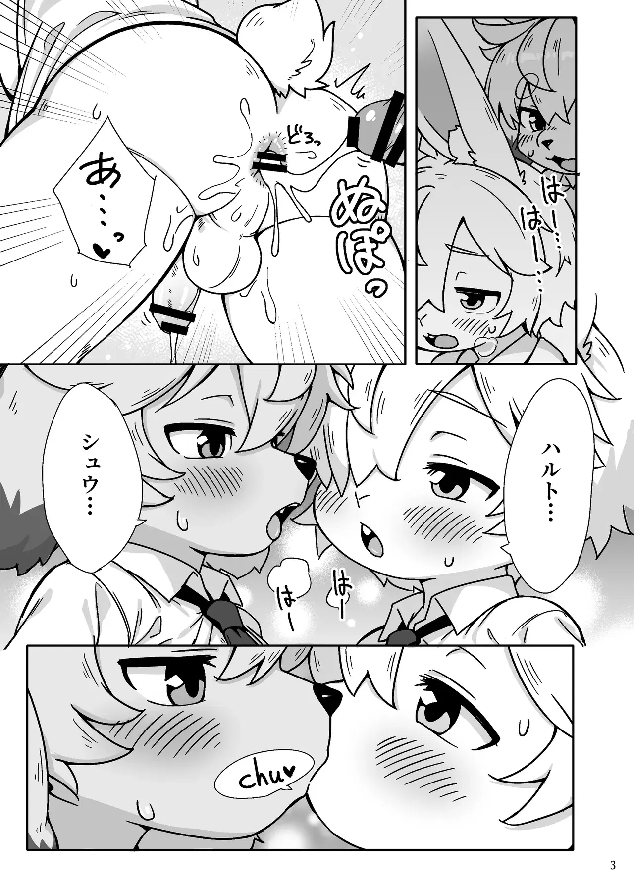 Image #4