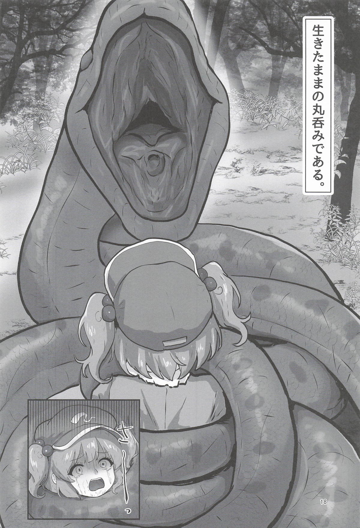 Image #18
