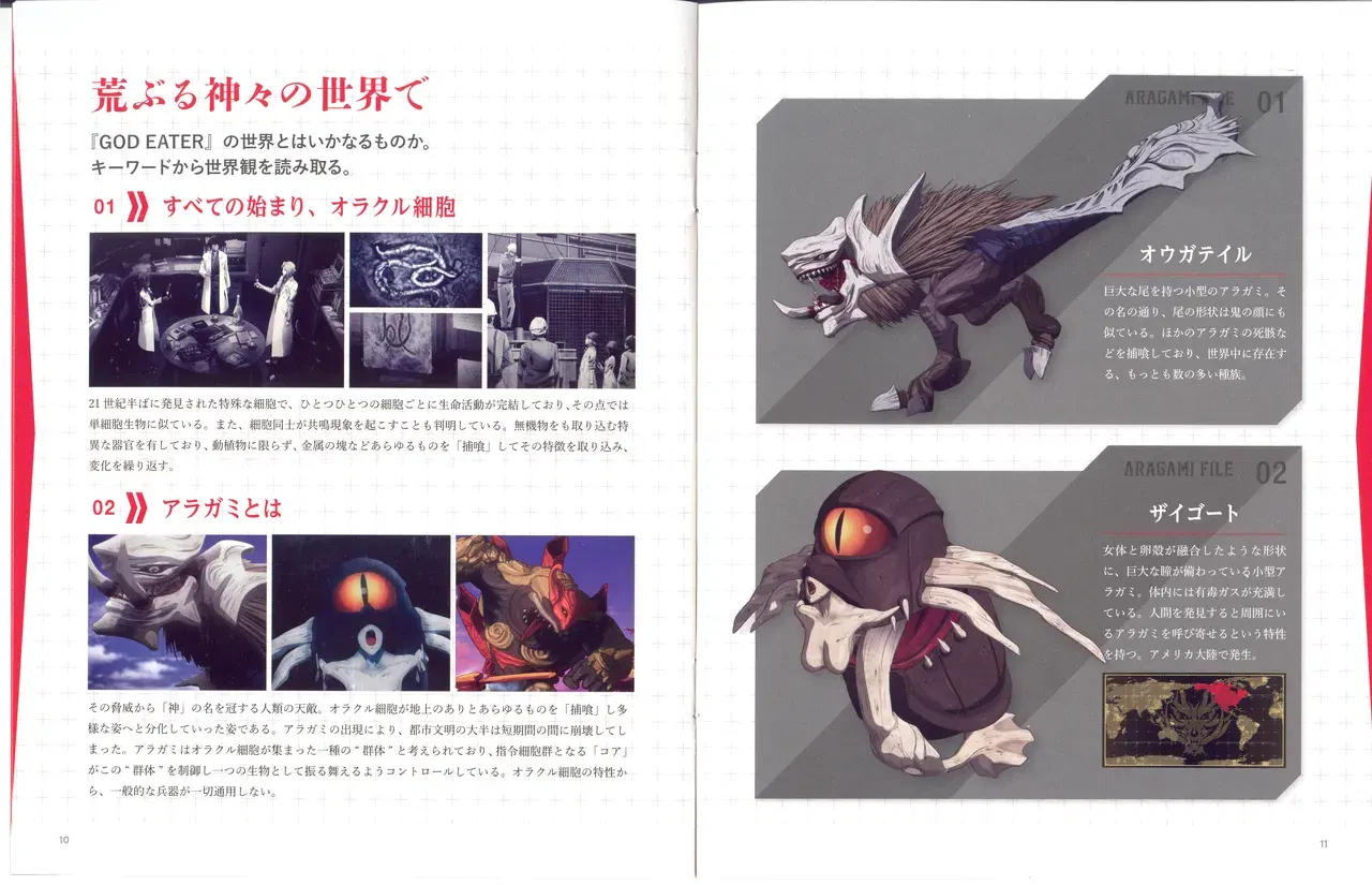 Image #5