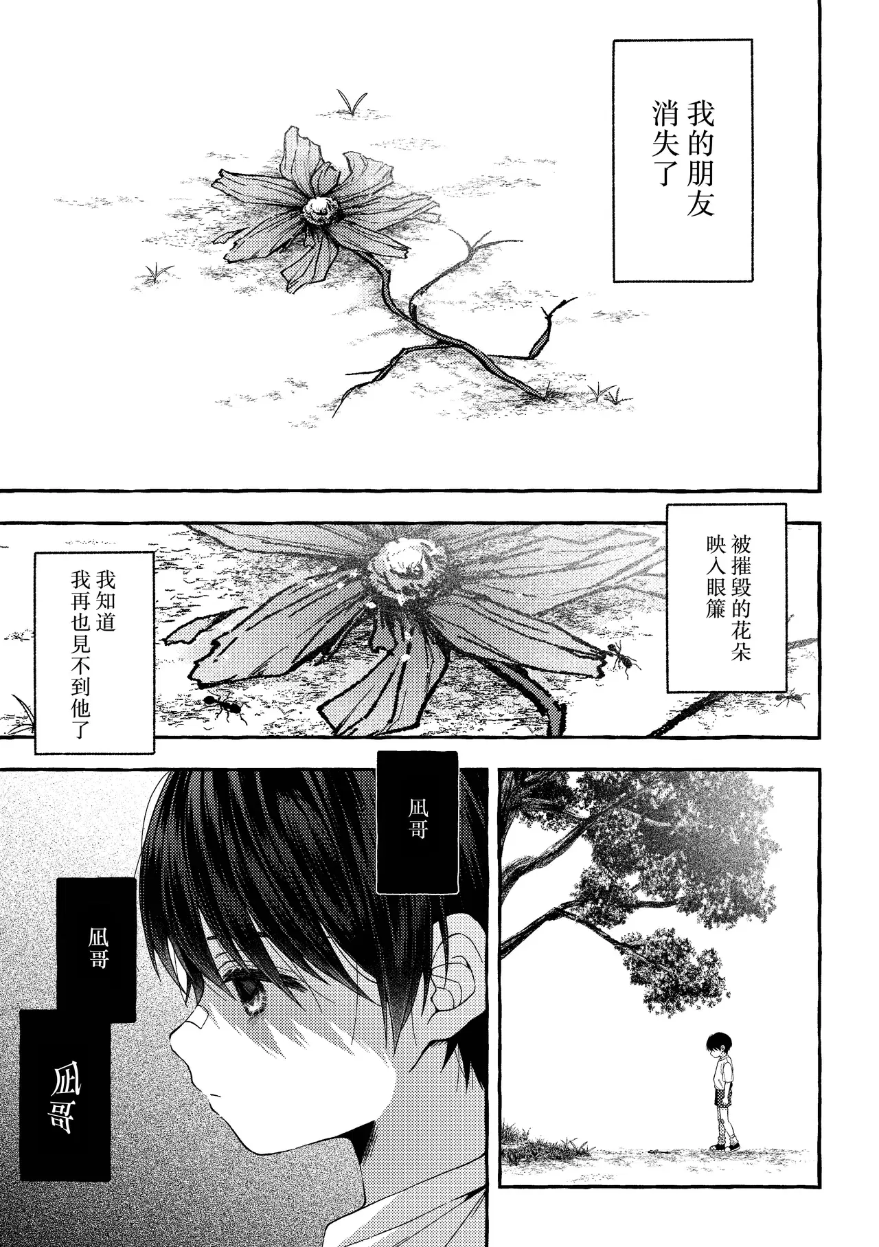 Image #10