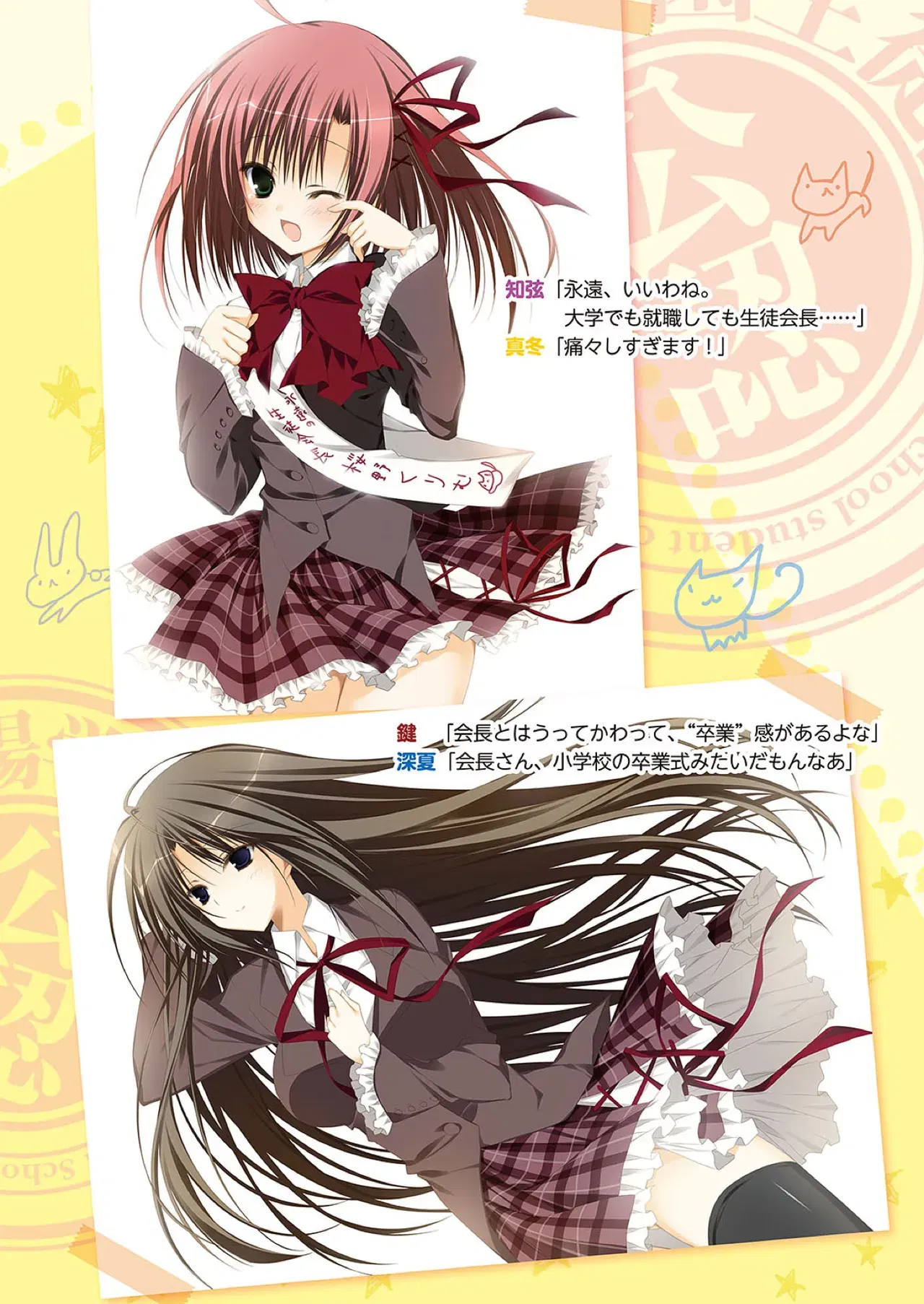 Image #12