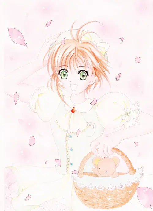 Image #12