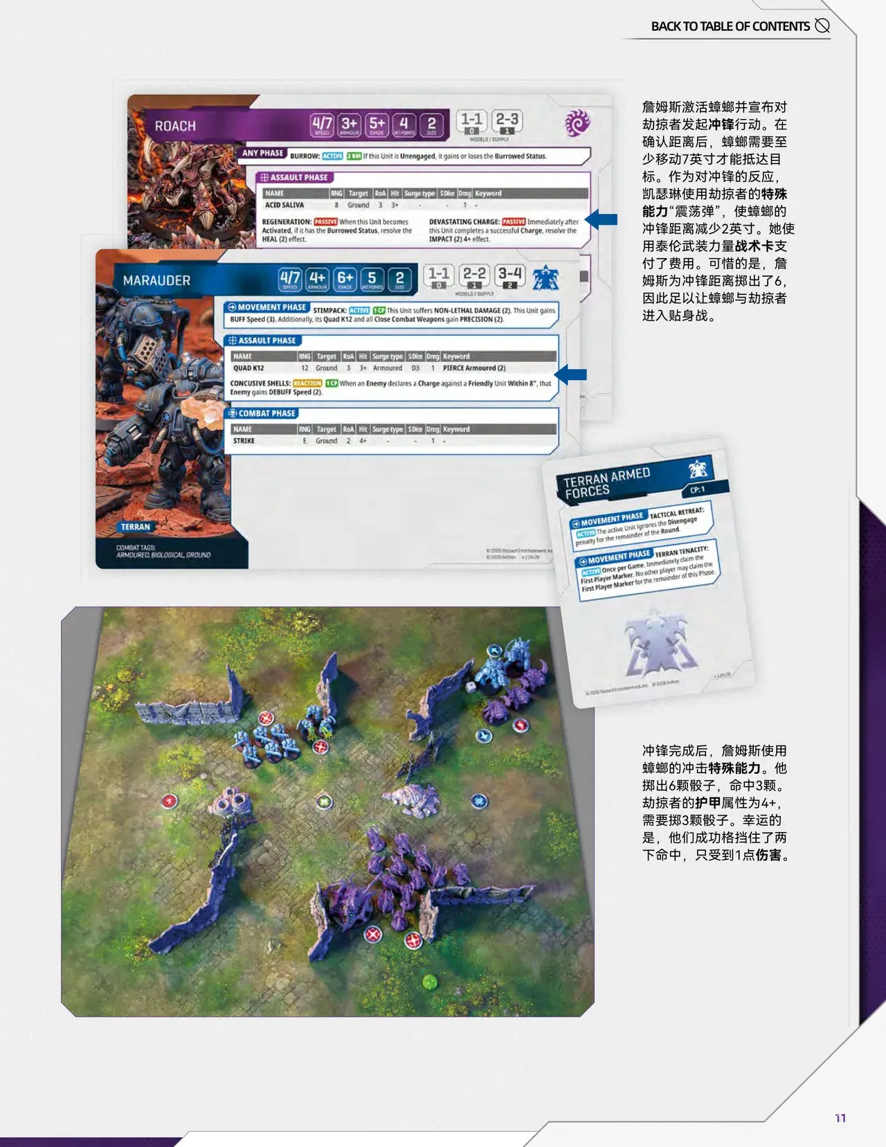 Image #12