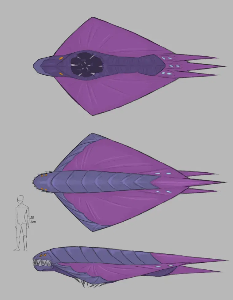 Image #42