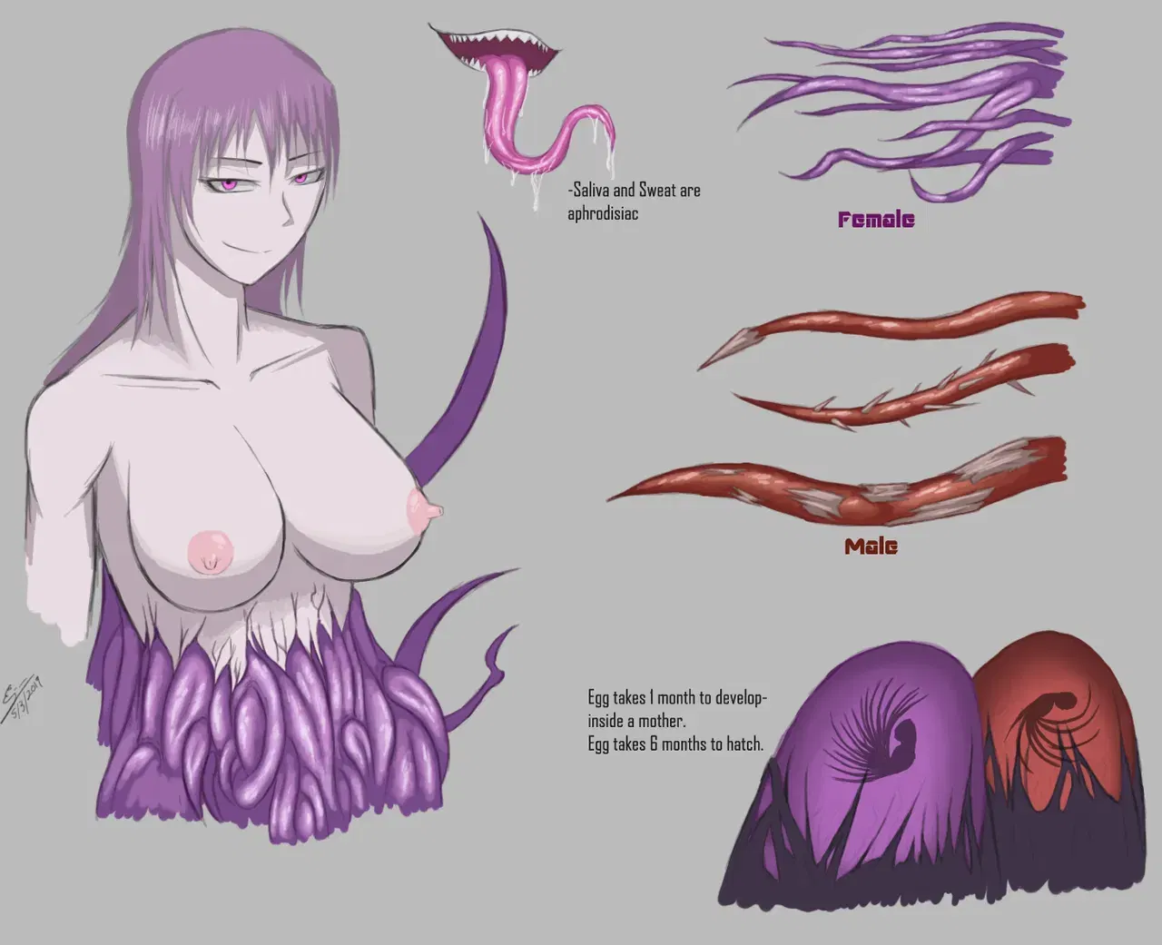 Image #46