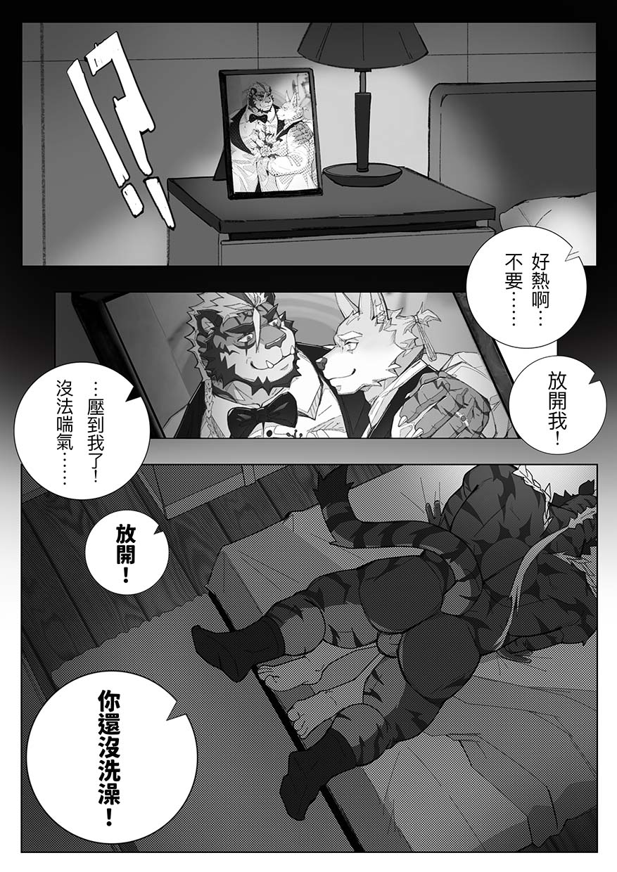 Image #13
