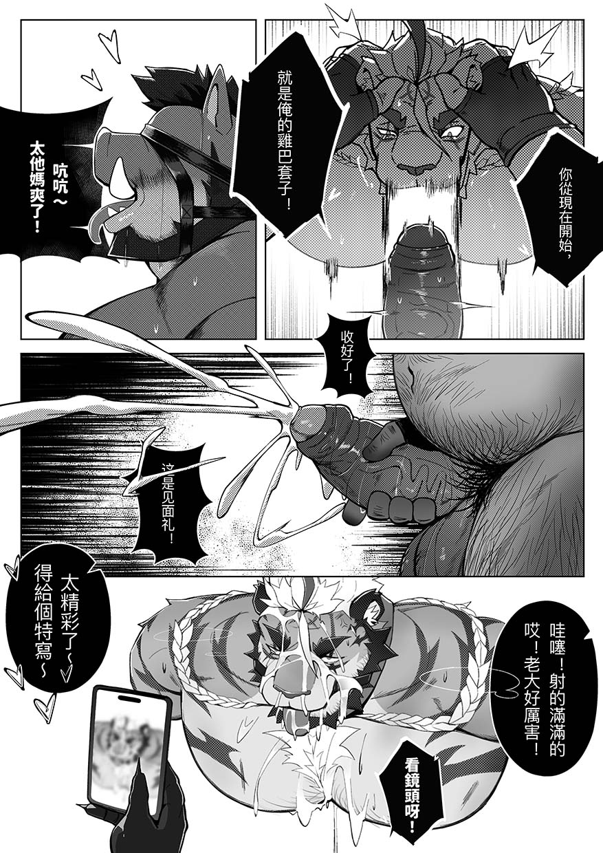 Image #44