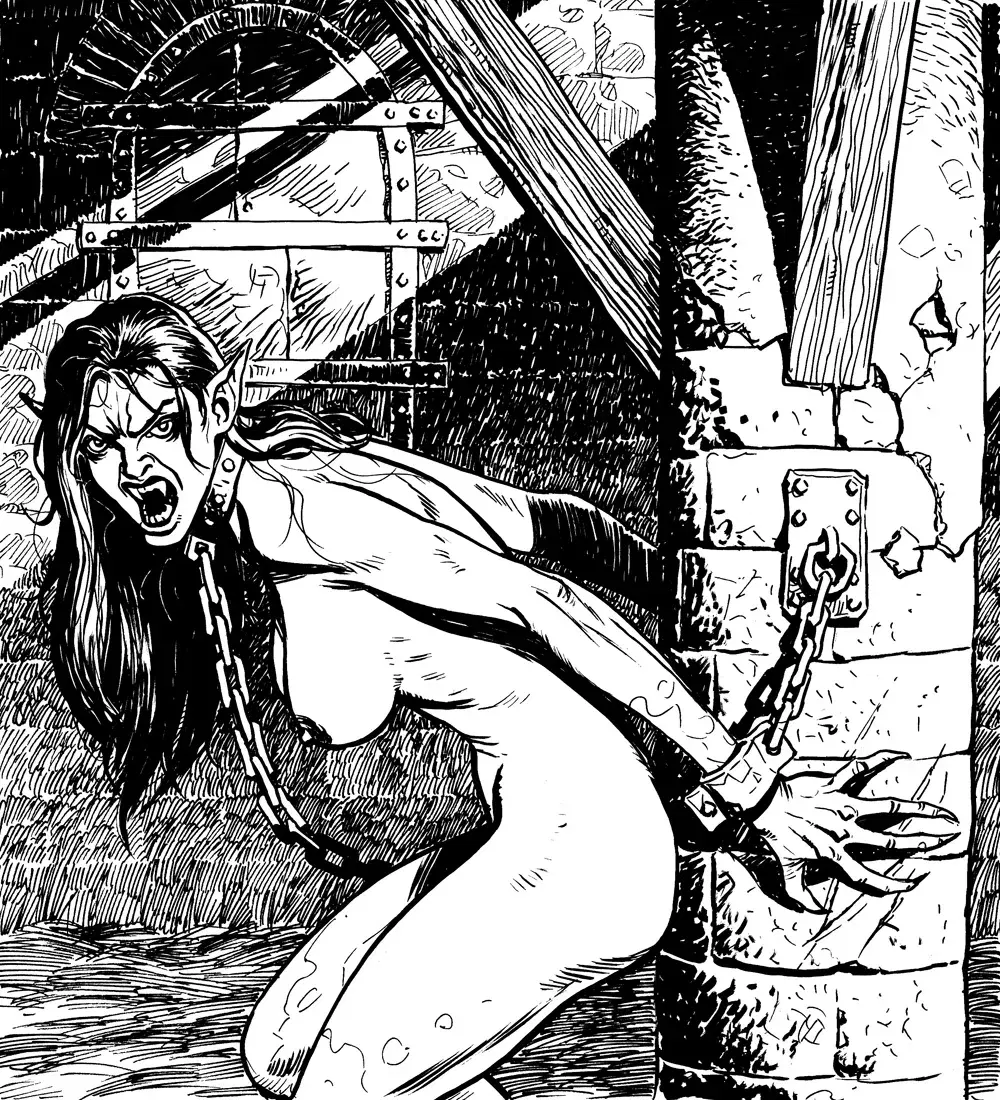 Image #293