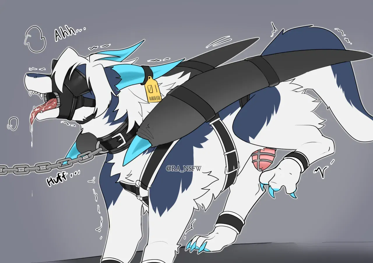 Image #115
