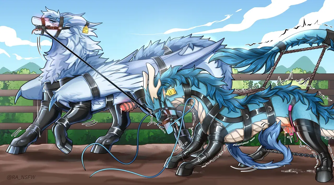 Image #118