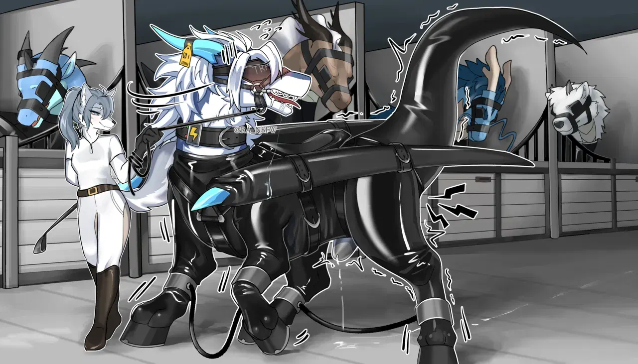 Image #16