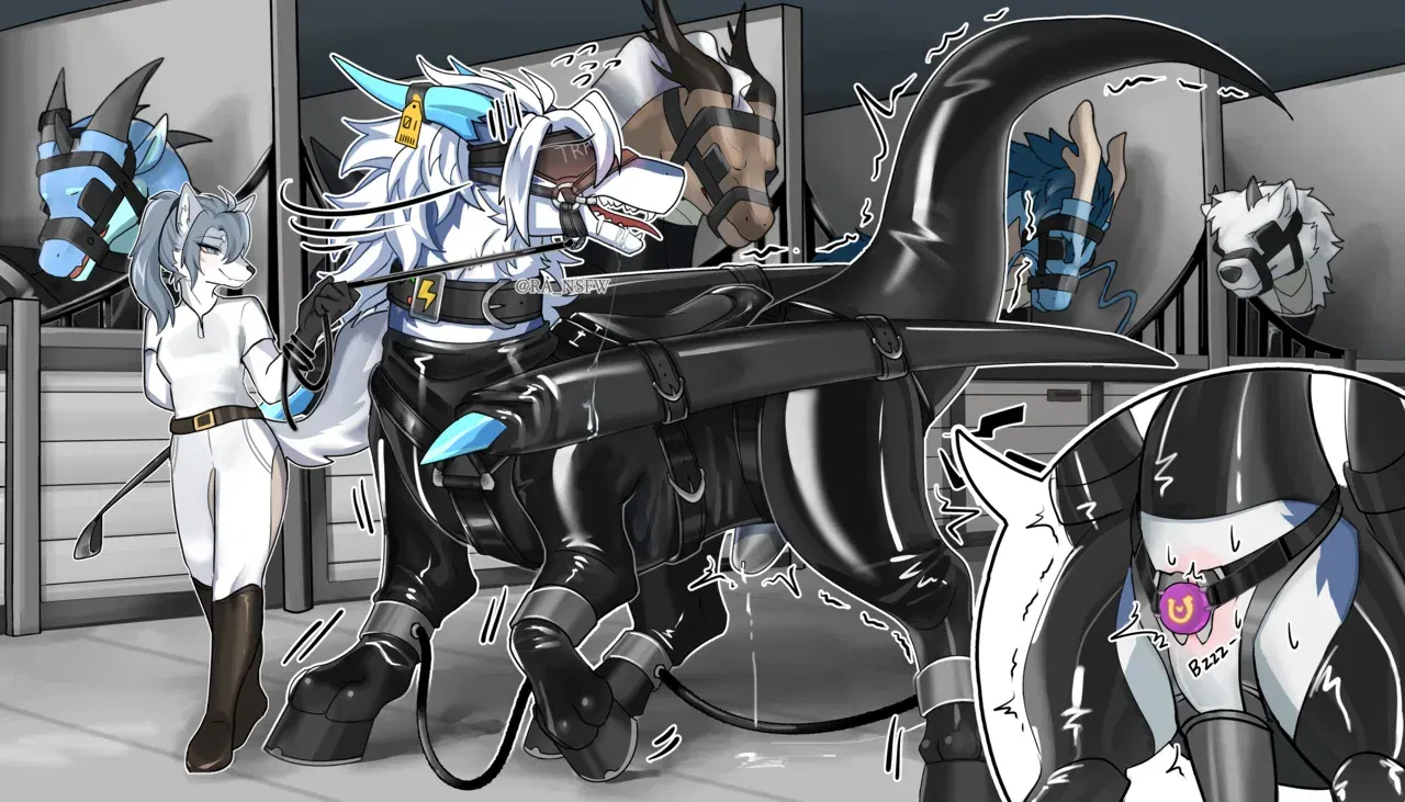 Image #17